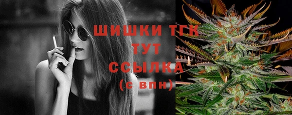 индика Вязники